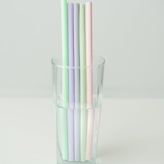 The Last Straw | Box of 6 with Carrying Case